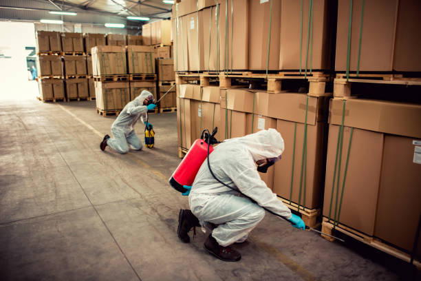 Best Flea Control Services  in Pequot Lakes, MN