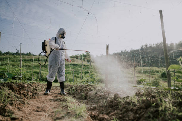 Best Mosquito Control Services  in Pequot Lakes, MN